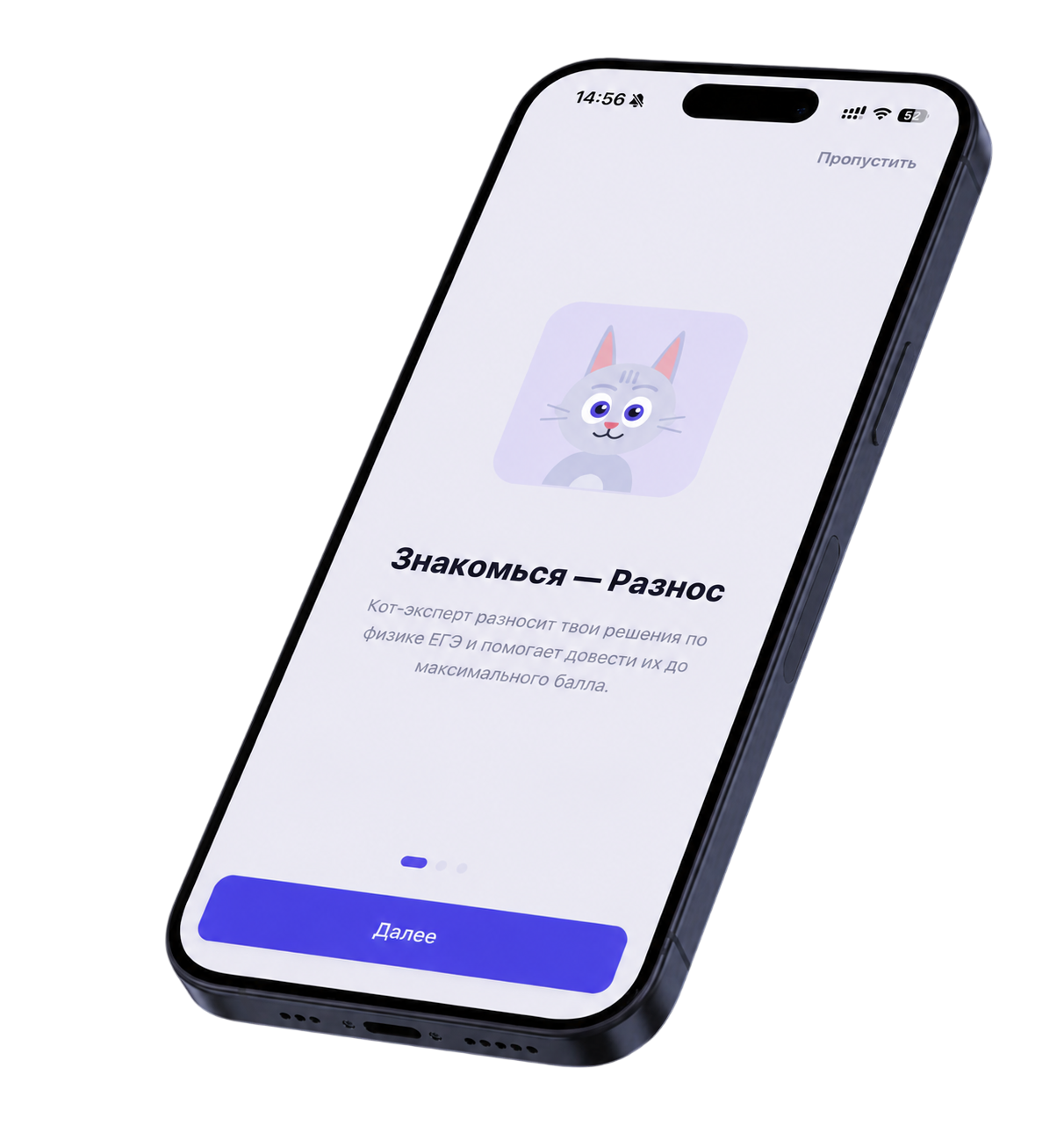 Приложение «Разнос» на телефоне